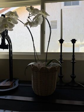 Pottery Barn Natural Woven Basket Planter